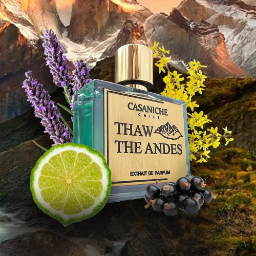 Casaniche Thaw The Andes -Laksmi Parfumerie